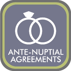 drafting-of-various-contracts